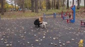 640x360