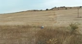 720x390