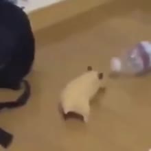 360x360