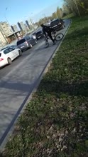 460x814