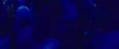 1280x530
