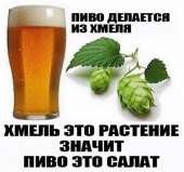 460x431