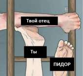 542x499