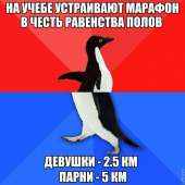 576x576