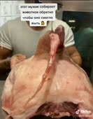 576x736