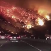 360x360