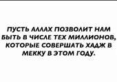 480x337