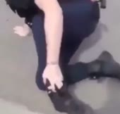 384x368