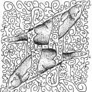 1000x1000
