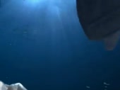 480x360