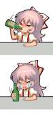 462x997
