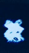 406x720