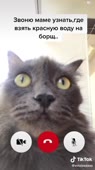 540x960