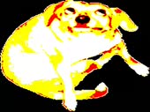 480x360