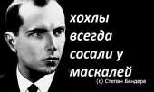 1000x600