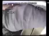 480x360