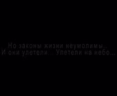 320x262