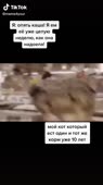 540x960