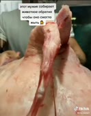576x736