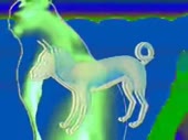 320x240
