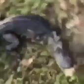 360x360