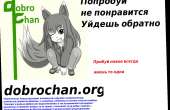 1286x839