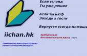 987x639