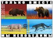 604x439