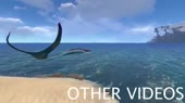 640x360