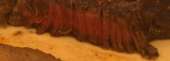 1487x534