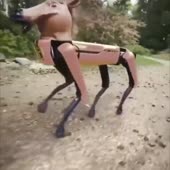 720x720