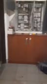 272x480