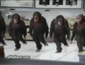 470x360