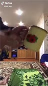406x720