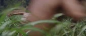 688x288