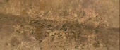 720x304