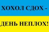 300x199