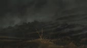 640x360