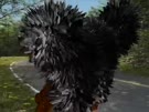 480x360