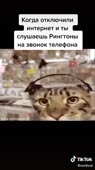 540x960