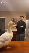 608x1080