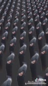 540x960