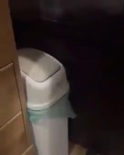 288x360