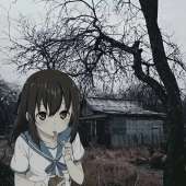 807x807