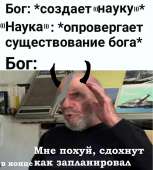976x1080