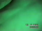 320x240