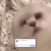 720x720