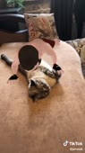 406x720