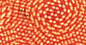 600x320