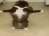 480x360